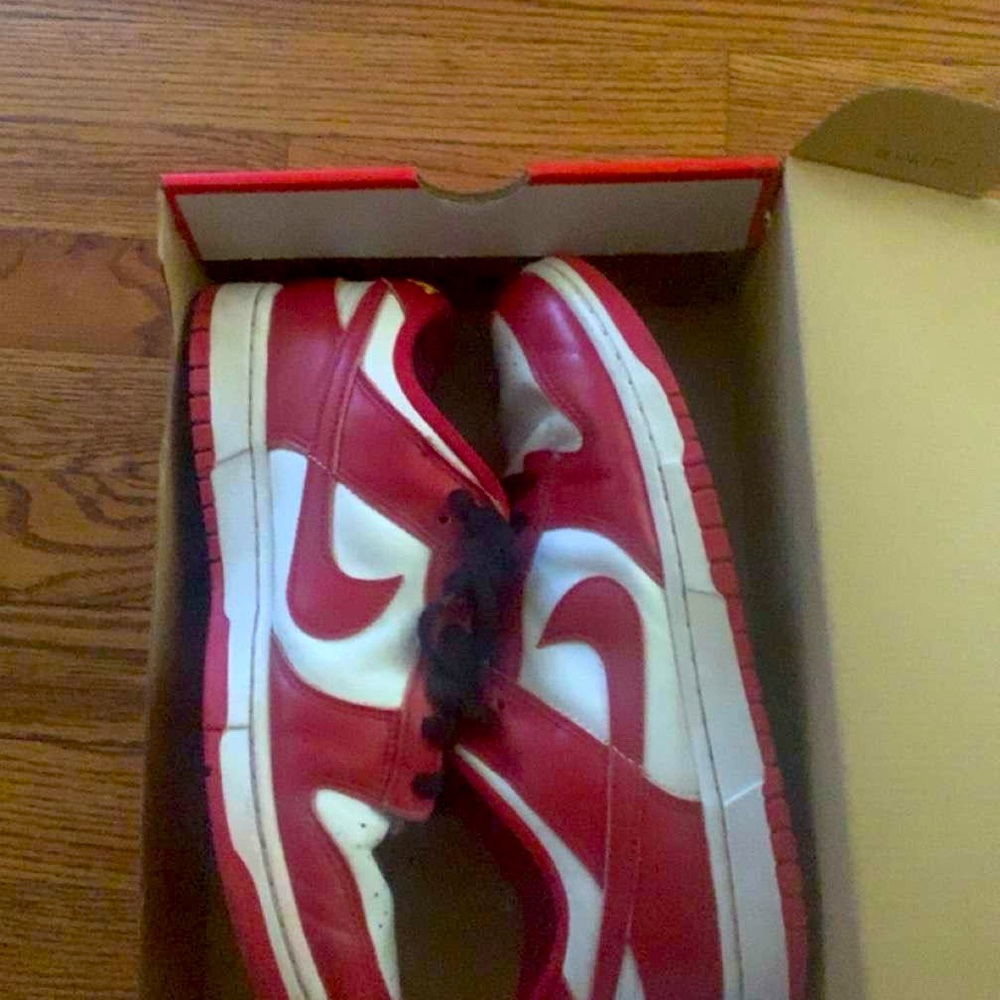 Nike Dunk Low Retro Gym Red